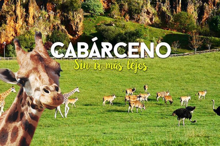 Apartamento De 120M2 Al Lado De Cabarceno Saron Bagian luar foto